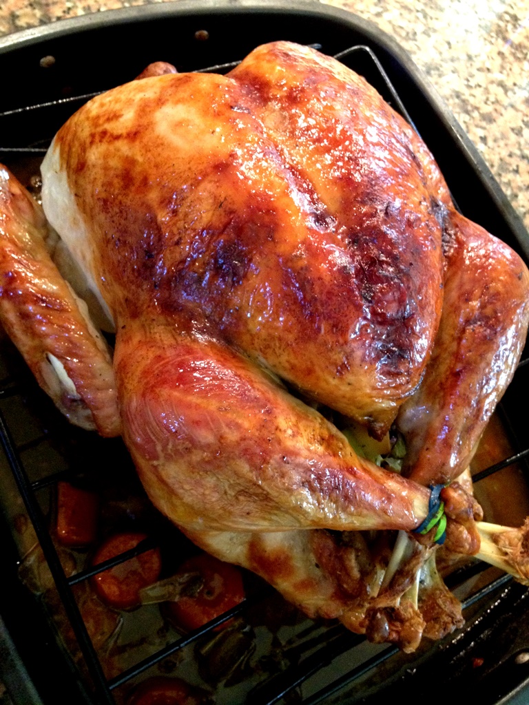 pavo22
