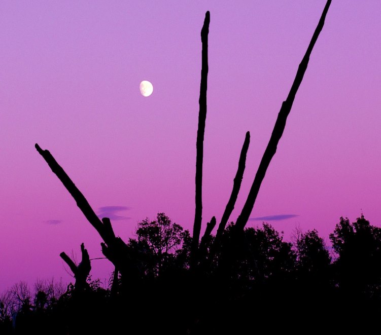 moon