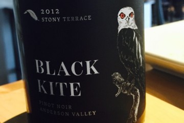 BLACK KITE STONY TERRACE