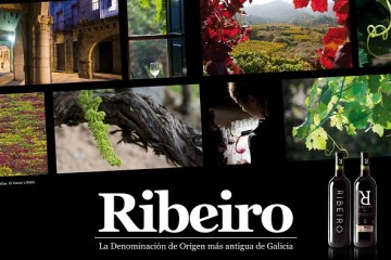 ribeiro plotter 2x2 1 - Copy