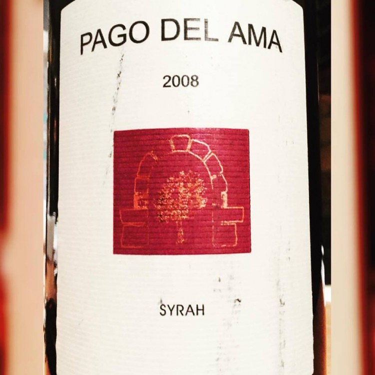 PAGO DEL AMA